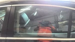 Driver Left Rear Door Glass Sedan Fits 06-10 Passat 1674969 Used. Price: $54.00.