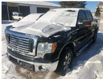 (local Pickup Only) Windshield Glass Without Rain Sensor Fits 09-12 Ford F150 Used. Price: $244.90.