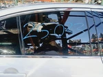 07-10 Infiniti G35/G37 Sedan Passenger Rear Door Glass Oem 82300JK000 Used. Price: $114.99.
