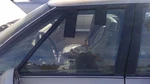 1992-1999 Olds Eighty Driver Left Front Side Window Door Glass Oem Used. Price: $135.38.