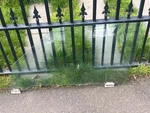 Bmw E30 Coupe Driver Front Left Door Window Glass Oem Used. Price: $139.99.