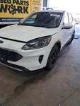 Rh Passenger Side 2020 Escape Rear Door Glass SKU#4460387 Used. Price: $124.00.