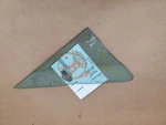 Driver Front Door Vent Glass Spider 2000CC Fits 79-82 Fiat 124 285909 Used. Price: $115.00.