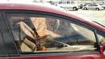 2010-2014 Honda Insight Passenger Right Front Side Window Door Glass Oem Used. Price: $131.25.