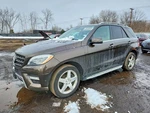 (local Pickup Only) Passenger Rear Door Glass 166 Type Suv Fits 16-19 Mercedes Used. Price: $121.41.