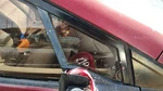 10-14 Insight Passenger Right Front Vent Window Small Door Glass With Frame Oem Used. Price: $150.00.
