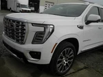 2025 Yukon Denali XL1500 Windshield Glass 1721638 Used. Price: $174.99.