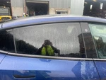 Tesla Model Y Door Glass Window Rear Right 2021-2024 1666510-00-A Used. Price: $255.23.