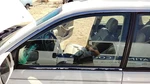 2000-2004 Legacy Outback Driver Left Front Side Window Door Glass Oem 61011AE03A Used. Price: $101.47.