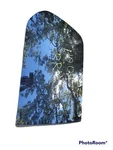 Honda Odyssey 99-04 Rear Right Passenger Side Quarter Window Glass 73511-S5T-J10 Used. Price: $89.99.