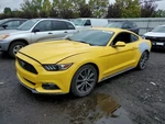 Used Left Quarter Glass Fits: 2017 Ford Mustang Cpe Stationary Black Trim. Price: $189.99.