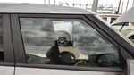 2014-2019 Kia Soul Passenger Right Front Side Window Door Glass Oem 82420B2020 Used. Price: $180.41.