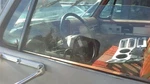 Driver Left Front Door Glass Fits 73-80 Blazer/jimmy (full Size) 32655393 Used. Price: $143.00.