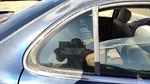98-02 Oldsmobile Intrigue Passenger Right Rear Vent Window Door Glass With Frame Used. Price: $106.81.