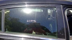 Rear Door Glass Chrysler Fits Avenger Sebring 200 Rh Passenger Oem 05074574AB Used. Price: $68.29.
