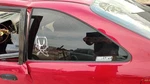 96-00 Civic Hx Coupe Driver Left Rear Quarter Glass Back Side Window Oem 4891628 Used. Price: $202.99.