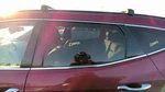 Driver Rear Door Glass Privacy Tint Swb Sport Fits 13-18 Santa Fe 32052191 Used. Price: $130.70.