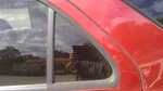 Driver Rear Door Vent Glass With Privacy Tint Fits 03-09 Sorento 716538 Used. Price: $75.00.