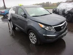 Passenger Rear Door Glass Privacy Tint Fits 10-16 Sportage 31205608 Used. Price: $111.93.