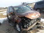 Used Rear Right Door Glass Fits: 2020 Ford Ecosport W/privacy Tint. Price: $176.29.