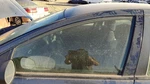 1998-2004 Dodge Intrepid Driver Left Front Side Window Door Glass Oem 04780231AF Used. Price: $131.25.