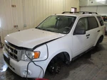 Used Left Quarter Glass Fits: 2010 Ford Escape 2.5L Vin 7 8TH Digit L. Privacy. Price: $140.99.